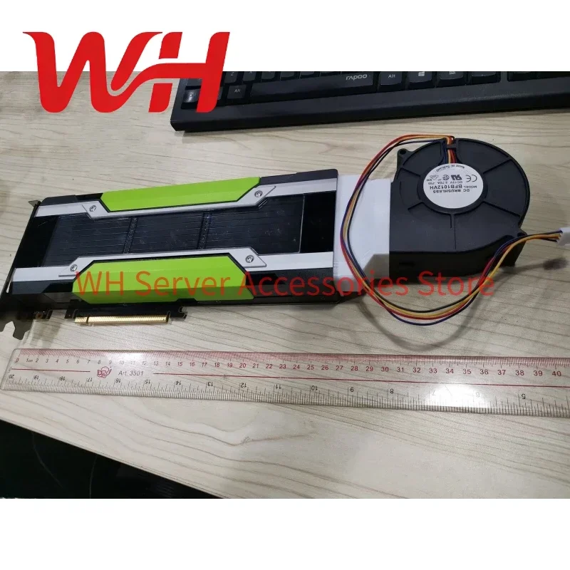 Nvidia Tesla P40 24GB GPU, GDD - Ai Deep Learning Workstation Gpu 24Gb 리뷰 및 가격